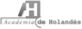 Academia de Holandes